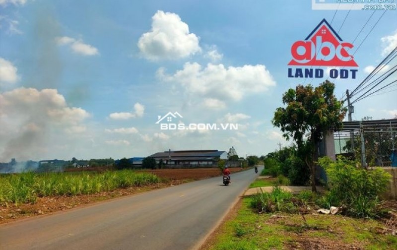 Kẹt tiền mua bán kinh doanh cần bán gấp căn nhà cấp 4 tại đường số 18 (Đường Điện Biên Phủ), TT Lạc Tánh, Huyện Tánh Linh, tỉnh Bình Thuận.
